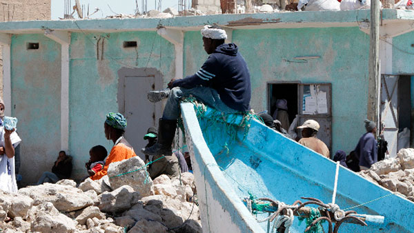 Nouadhibou : les poissons ne font pas l'amitié