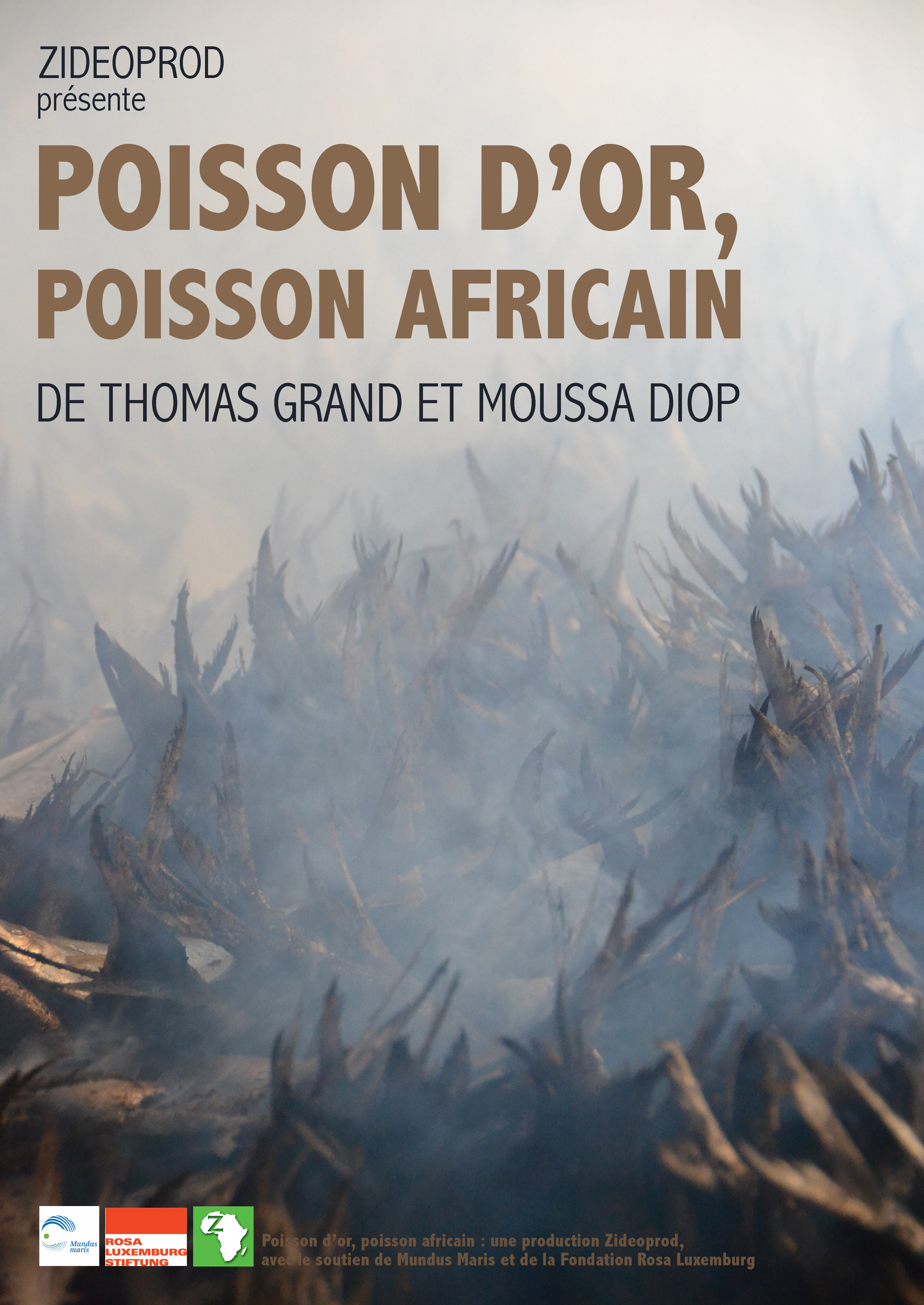 Poisson d'or, poisson africain